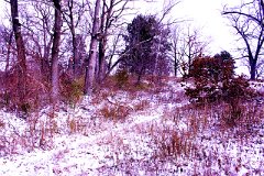 photo 0262